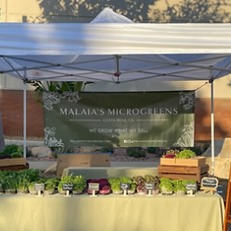 malaias-microgreens-tent-1